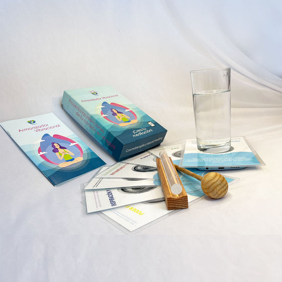 TALLER DEL ARMONIZADOR VIBRACIONAL EN LEÓN